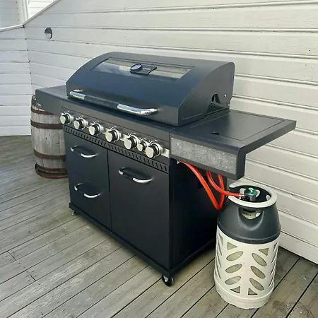 Med To Terrasser Naer Risor